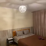 Cat Garden Family Апартаменты Рига