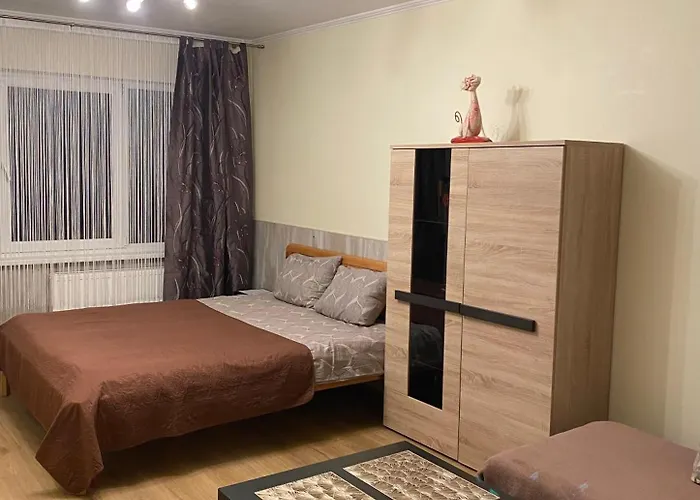 Cat Garden Family Riga