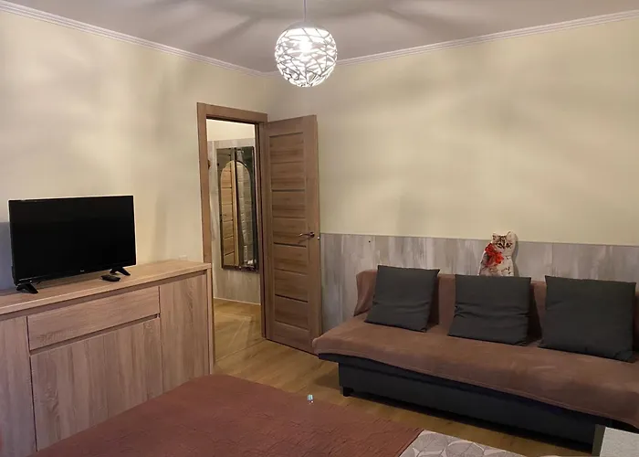 Apartment Cat Garden Family