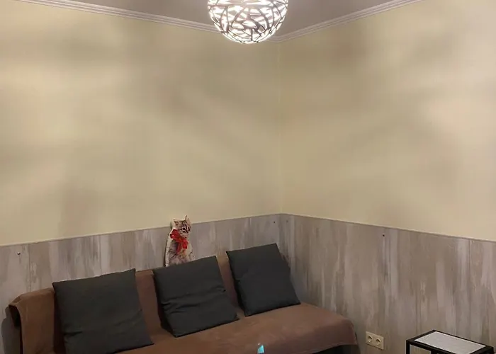 Apartment Cat Garden Family