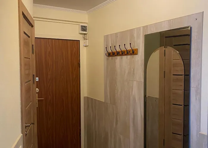 Apartment Cat Garden Family