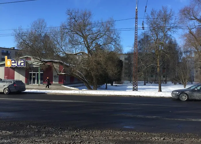 Apartment Cat Garden Family